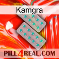 Kamgra 29